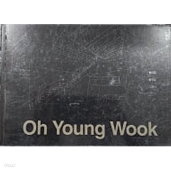 Oh Young Wook 2008 : 선으로 공간을 그리다 (오영욱 개인전 도록)