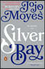 Silver Bay