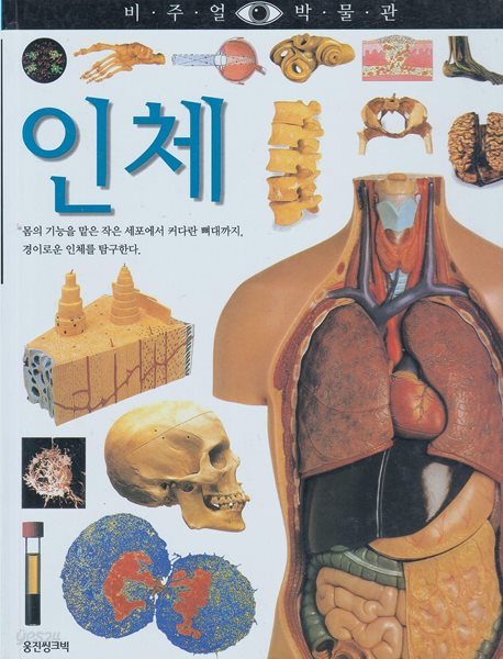 인체 (비주얼 박물관, 20) (ISBN : 9788901046327)