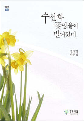 수선화 꽃망울이 벌어졌네