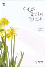 수선화 꽃망울이 벌어졌네