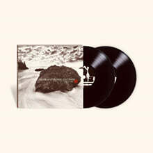 Peter Schindler - Jeong (정) With Rocks and Stones and Trees [2LP]
