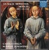 바흐 : 모테트 BWV 225 ~ 230 - 칸투스 퀸른, 콘라드 융헤넬