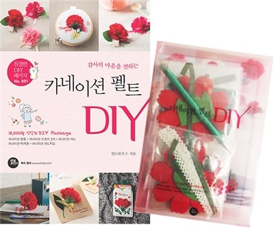 카네이션 펠트 DIY