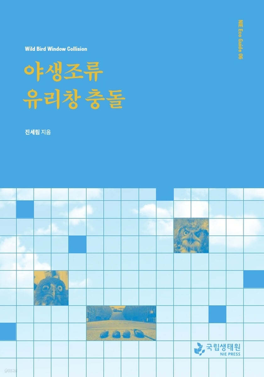 야생조류 유리창 충돌