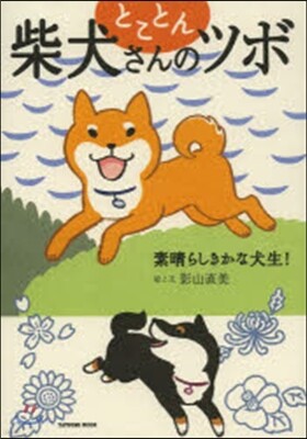 とことん柴犬さんのツボ 素晴らしきかな犬生!