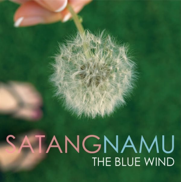 사탕나무  - The Blue Wind