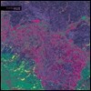 아이러닉 휴 (Ironic Hue) - For Melting Steel