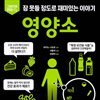 영양소