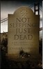 Not Sleeping, Just Dead: A Hard Boiled Mystery