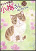 キジトラ猫の小梅さん 24