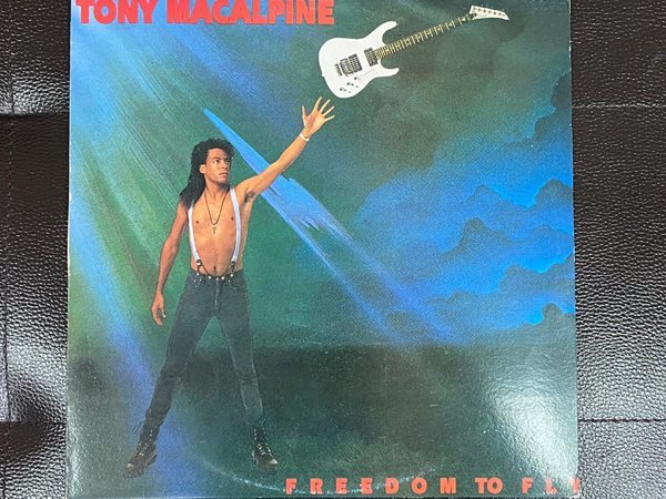 [LP] 토니 맥캘파인 - Tony Macalpine - Freedom To Fly LP [지구-라이센스반]