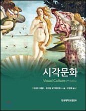 시각문화