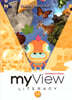 myView 2021 International G1.1 SB