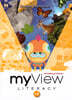 myView 2021 International G1.5 SB