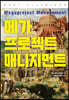 메가프로젝트 매니지먼트