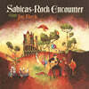 Sabicas With Joe Beck (사비카스 앤 조 벡) - Rock Encounter