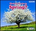 What Can You See in Spring?