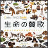 PHOTO ARK 生命の賛歌