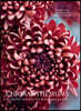 Chrysanthemums: Beautiful Varieties for Home and Garden