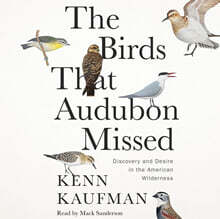 The Birds That Audubon Missed