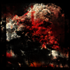 Ruin Lust - Dissimulant (LP)