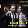 Julien Martineau / Wilson Ng 오 솔레 미오 - 만돌린 협주곡 & 가곡 (O Sole Mio - Mandolin Concertos & Songs)