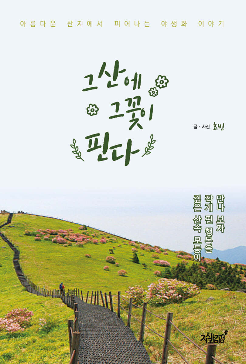 그 산에 그 꽃이 핀다