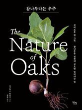 참나무라는 우주