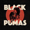 Black Pumas (블랙 푸마스) - 1집 Black Pumas [화이트 컬러 LP]