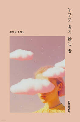 누구도 울지 않는 밤 (큰글자도서)