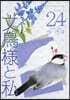文鳥樣と私 24