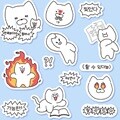 [모트모트] 포켓스티커 - 독기있는 애옹이