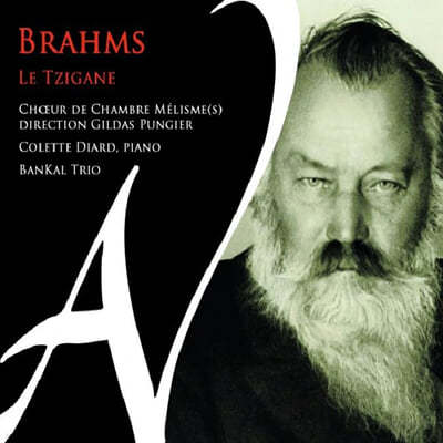 Gildas Pungier 브람스: 찌간느 (Brahms: Le Tzigane)