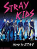 Stray Kids: Here to Stay
