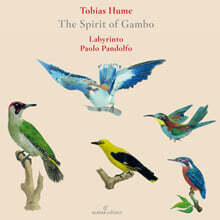Labyrinto / Paolo Pandolfo 토비아스 흄: 감보의 영혼 (Hume: The Spirit of Gambo)