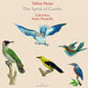 Labyrinto / Paolo Pandolfo 토비아스 흄: 감보의 영혼 (Hume: The Spirit of Gambo)