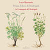 La Compagnia del Madrigale 마렌치오: 마드리갈 1권 (Marenzio: Primo Libro di Madrigali - Madrigals Book1)
