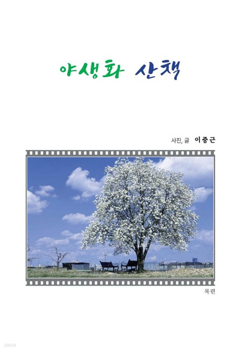 야생화 산책