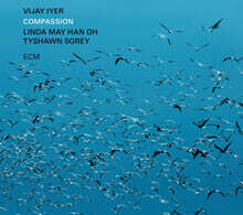 Vijay Iyer (비제이 아이어) - Compassion