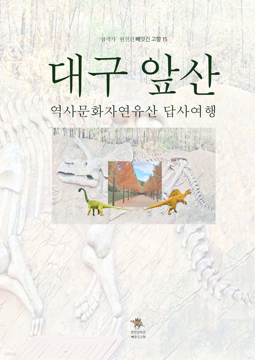 대구 앞산