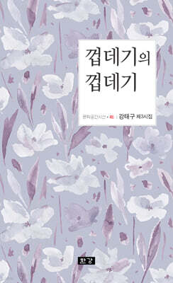 껍데기의 껍데기