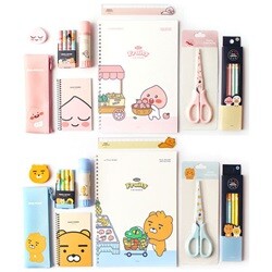 카카오프렌즈 라이언 어피치 문구 학용품세트