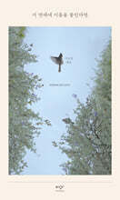 이 연애에 이름을 붙인다면