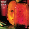 Alice in Chains (앨리스 인 체인스) - Jar of Flies [LP]