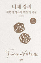 니체 강의 (큰글자책)