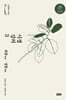 시경 강의 3 (큰글자책)