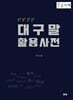 대구말 활용 사전 (큰글자책)