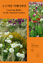 구근식물 식재디자인