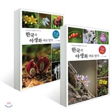 한국의 야생화 바로 알기 세트